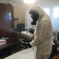 Дезинфекция от клопов в Сургуте