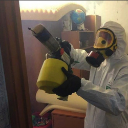 Уничтожение клопов в квартире. Сургут